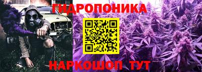 твердый Берёзовский