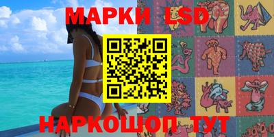 дмт Бийск