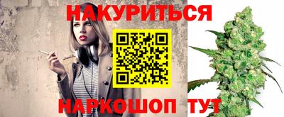 дмт Бийск