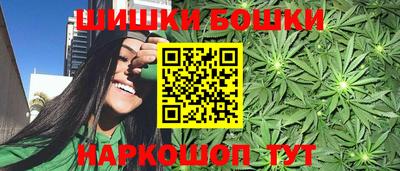 дмт Бийск