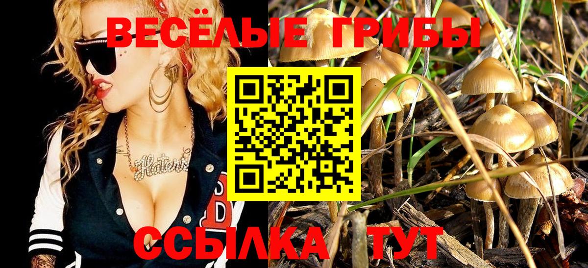 Белорецк  Псилоцибиновые грибы GOLDEN TEACHER  Вход с VPN  Псилоцибиновые грибы Psilocybine cubensis 